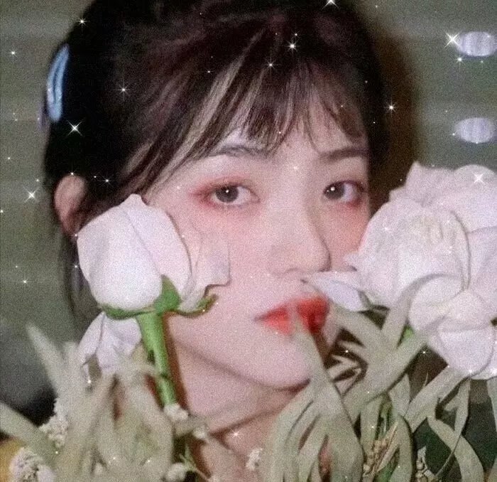 海底娇娃蓝华：处女任务 封面